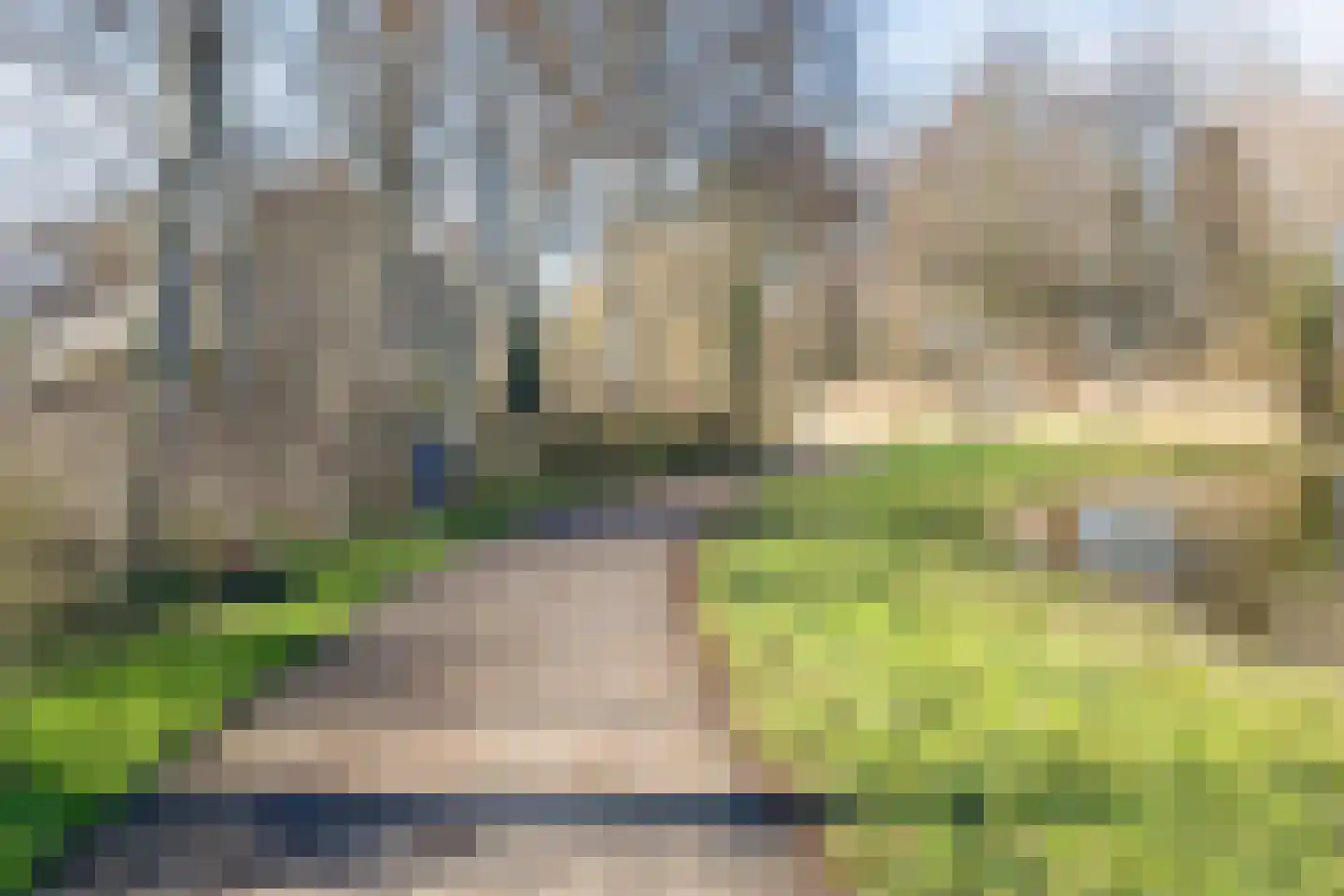 Vingerhoedskruid 23 Vlaardingen thumbnail 28