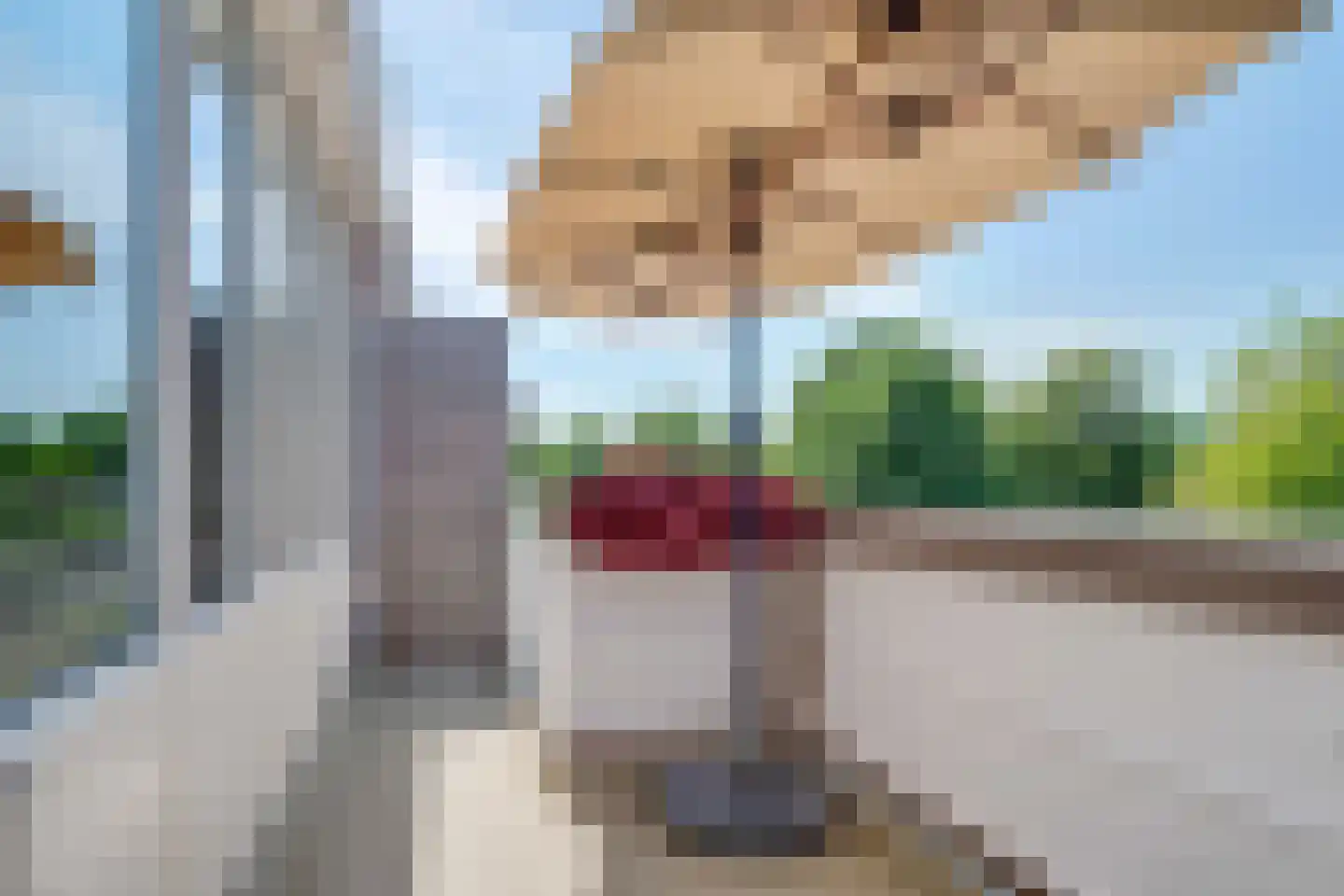 Vingerhoedskruid 24 Diemen thumbnail 17