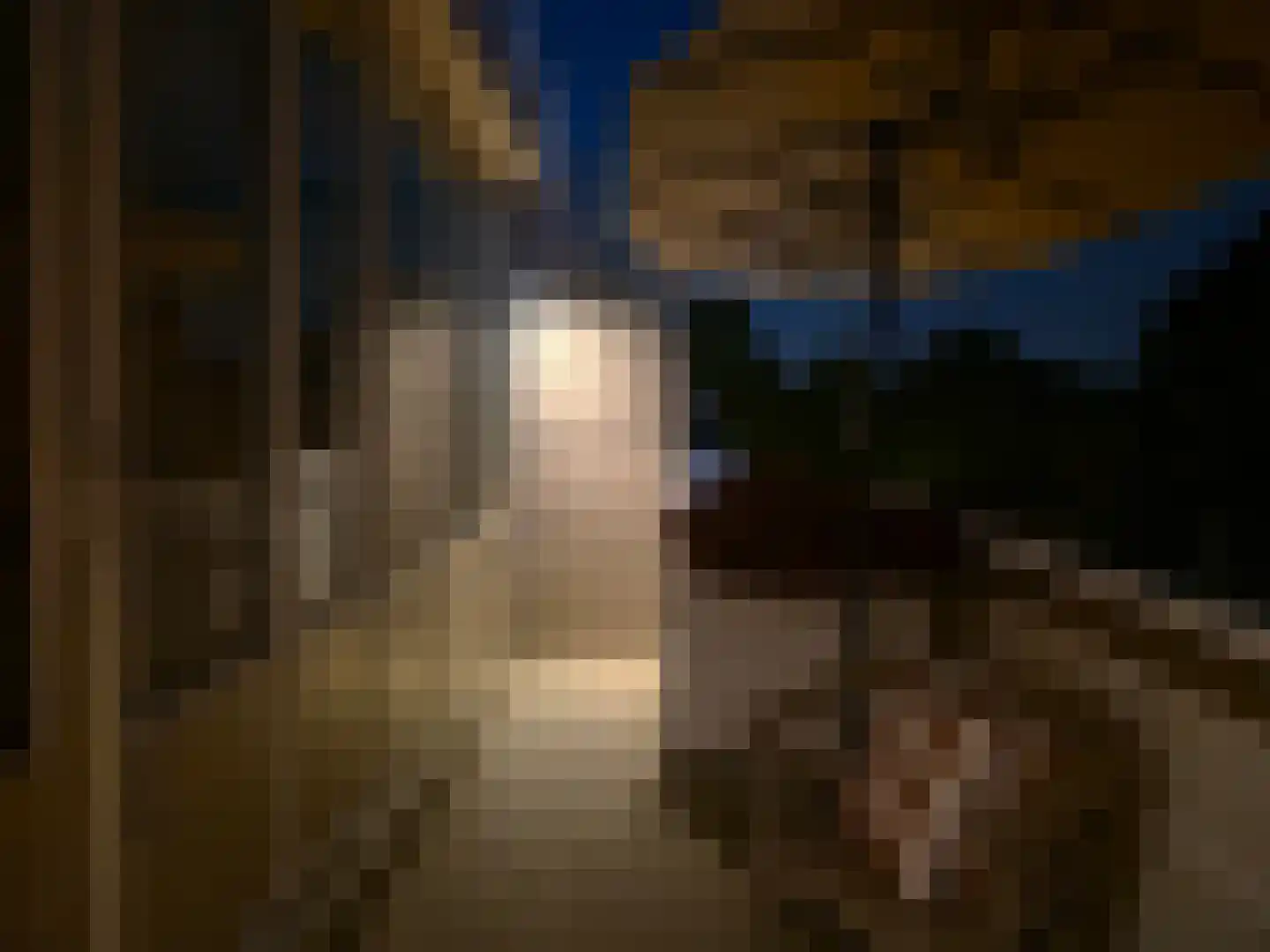 Vingerhoedskruid 24 Diemen thumbnail 18
