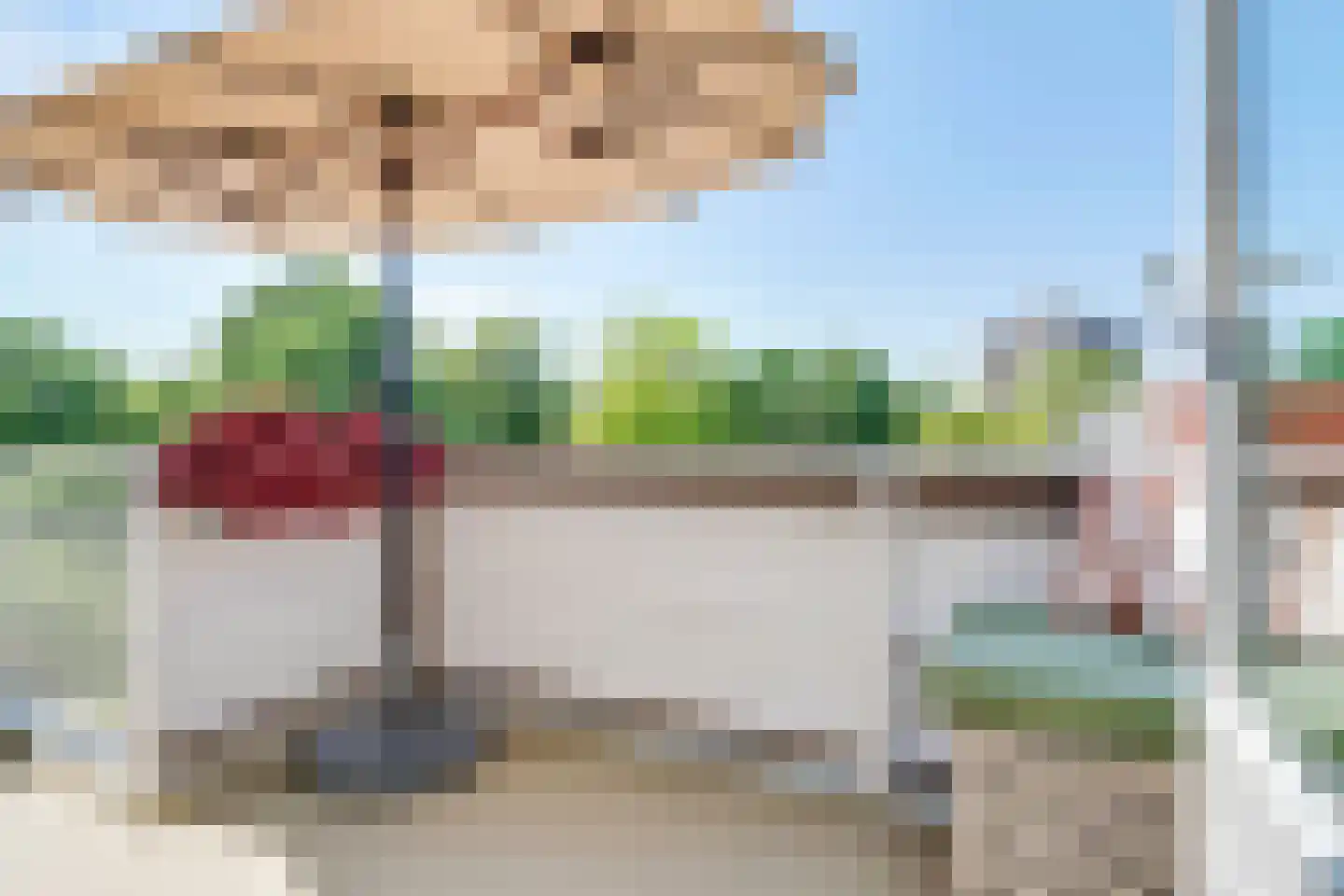 Vingerhoedskruid 24 Diemen thumbnail 19