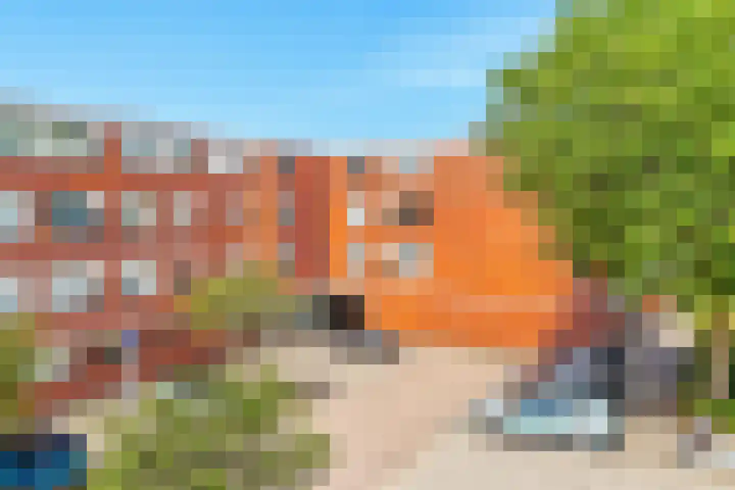 Vingerhoedskruid 24 Diemen thumbnail 30