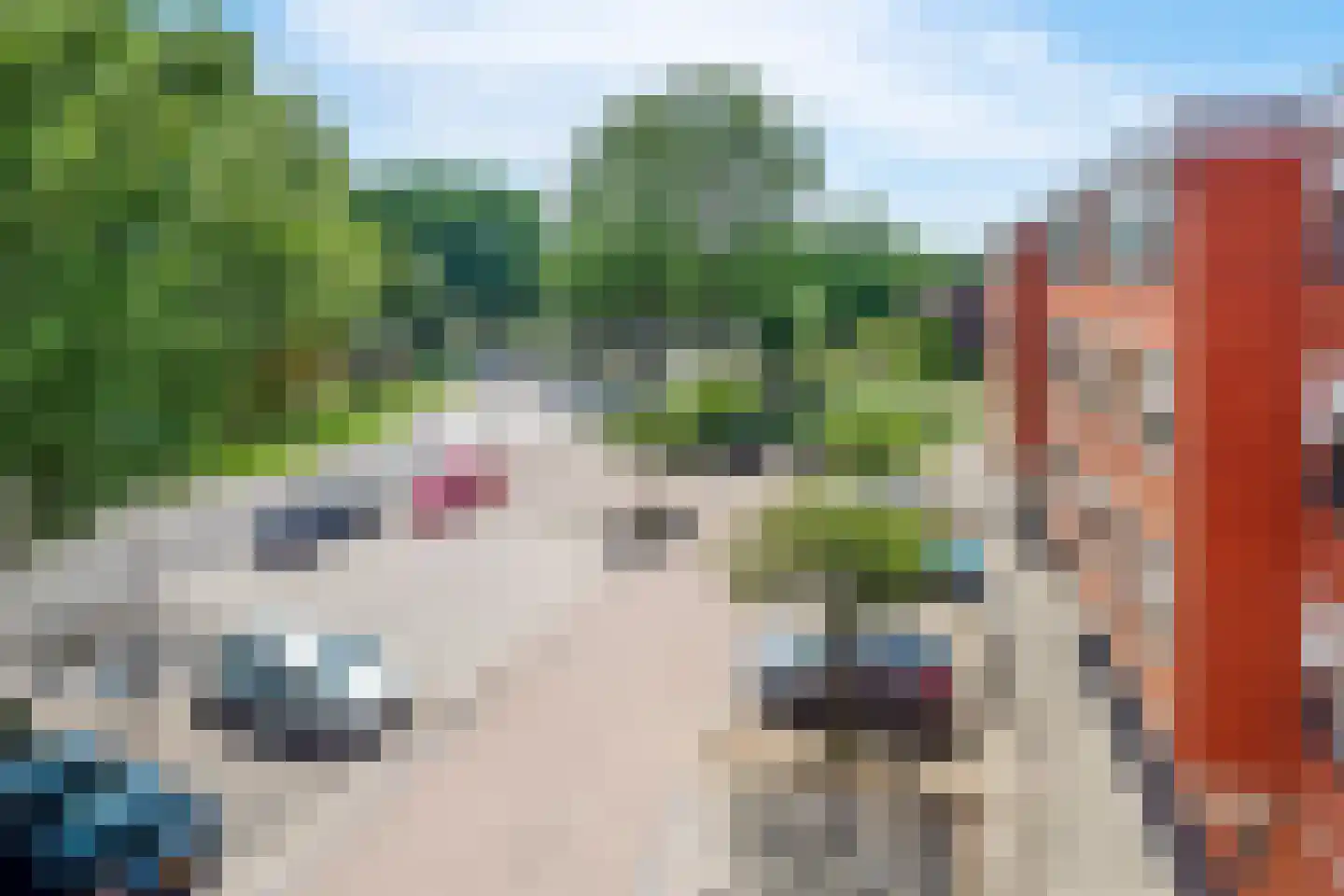Vingerhoedskruid 24 Diemen thumbnail 31