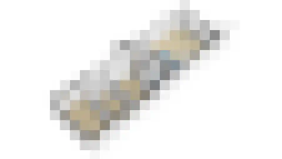 Vingerhoedskruid 24 Diemen thumbnail 41