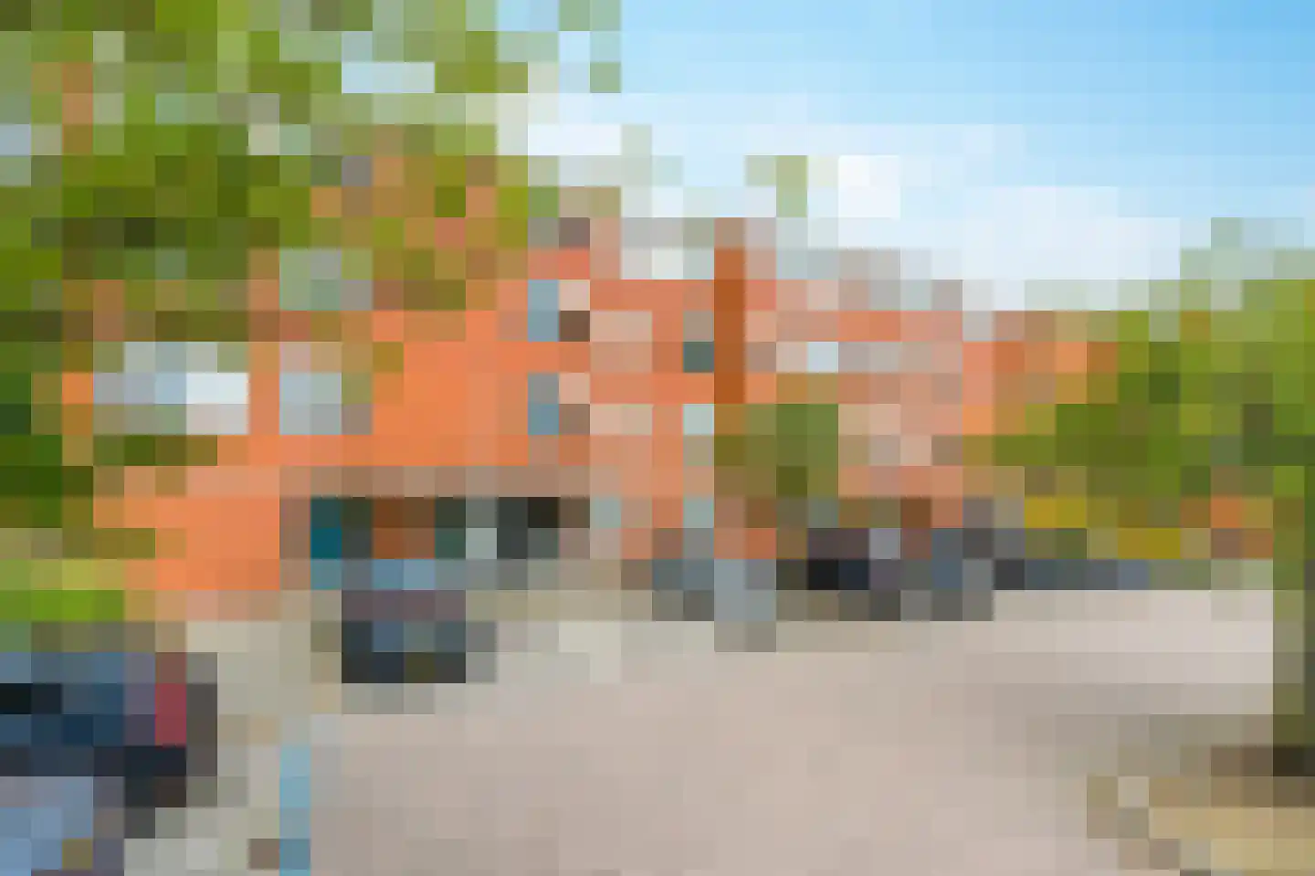 Vingerhoedskruid 28 Diemen