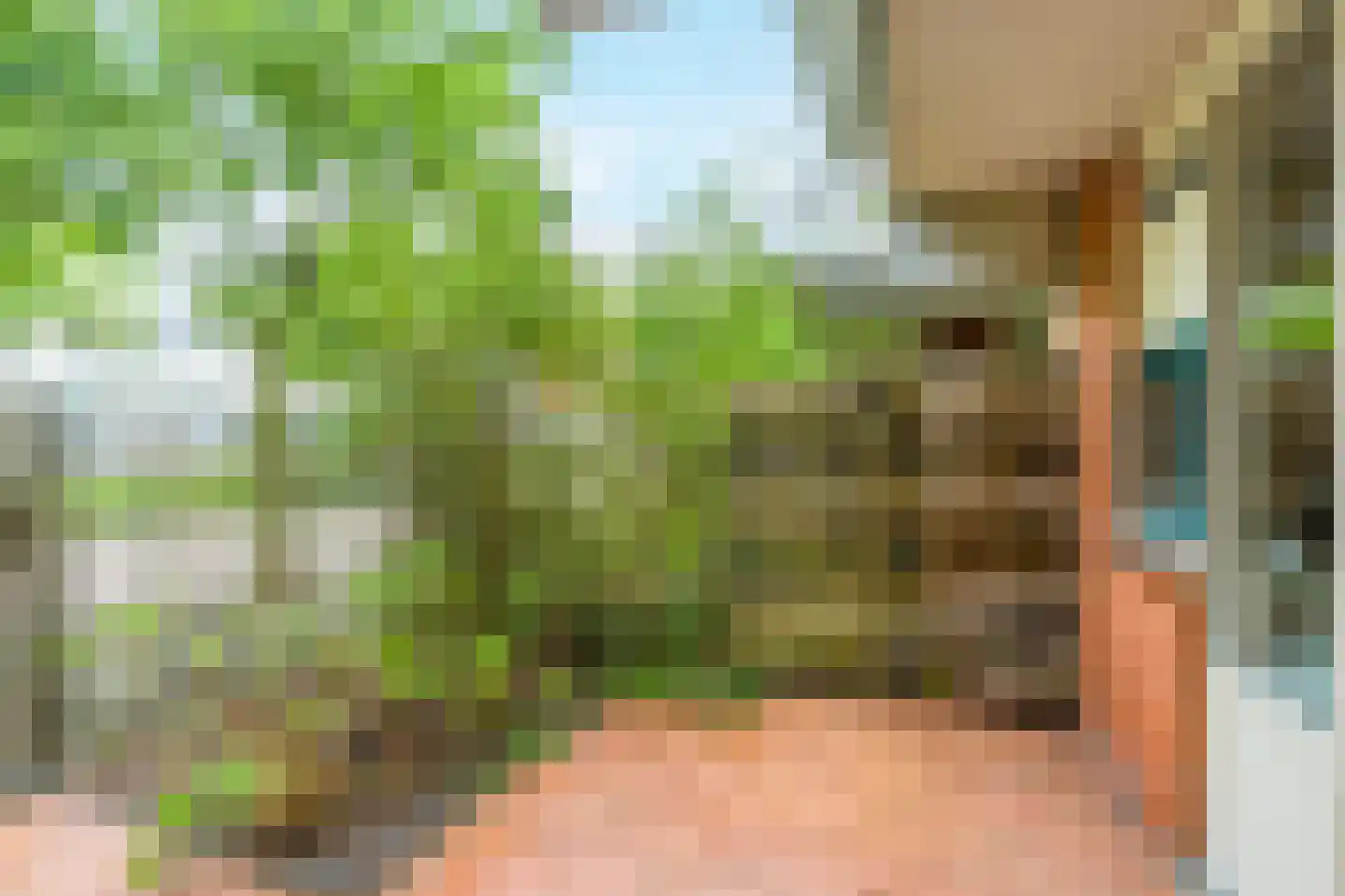 Vingerhoedskruid 28 Diemen thumbnail 15