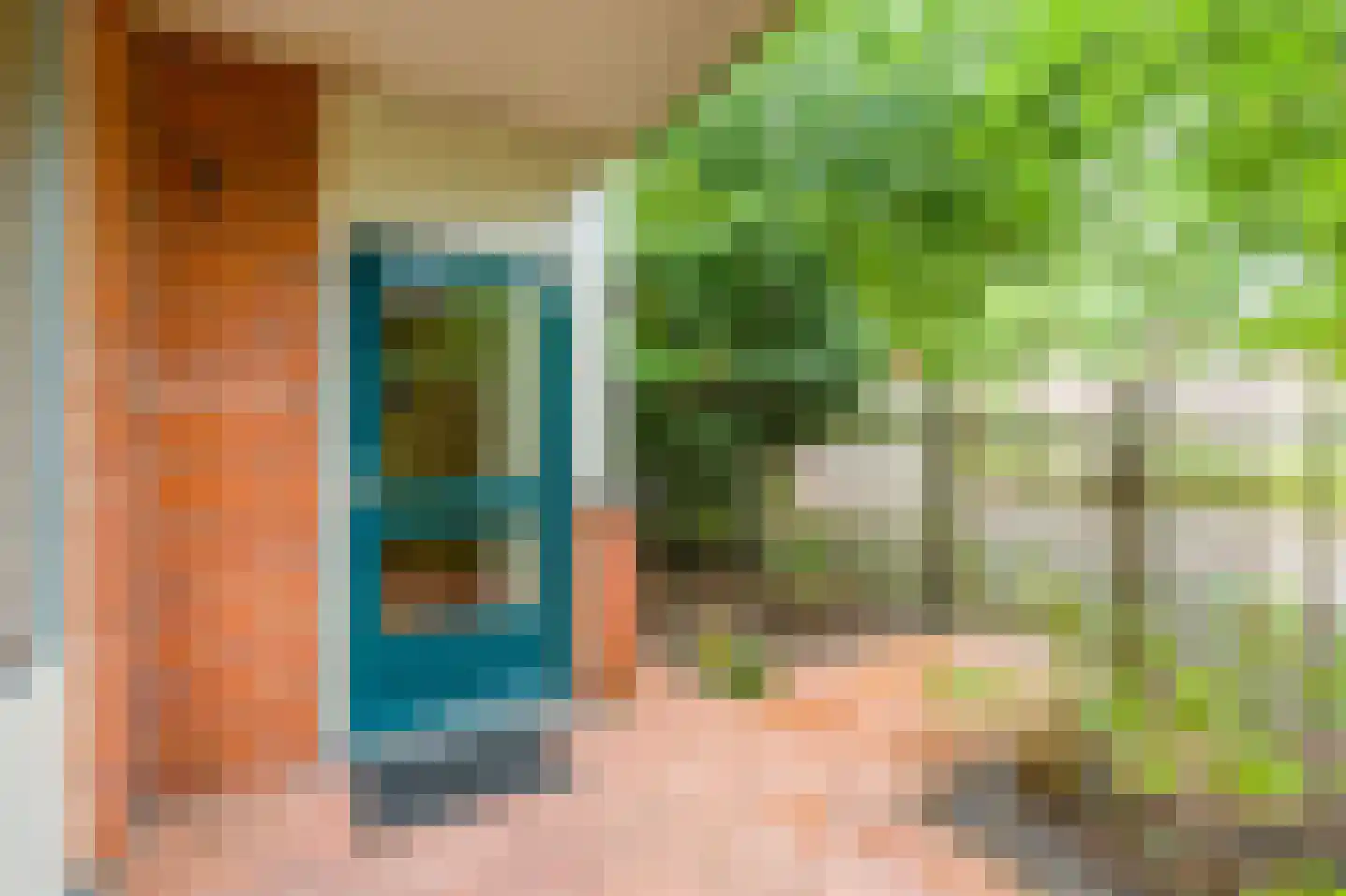Vingerhoedskruid 28 Diemen thumbnail 16