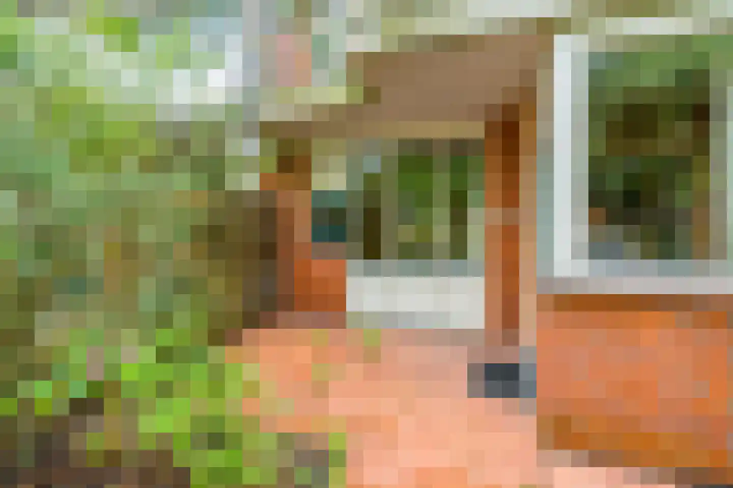 Vingerhoedskruid 28 Diemen thumbnail 17