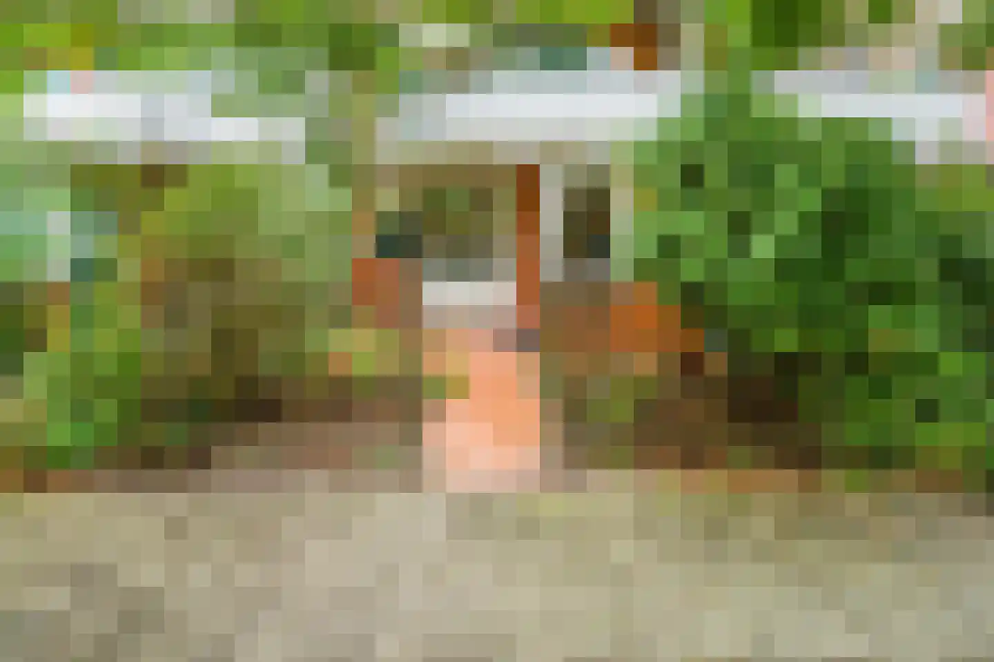 Vingerhoedskruid 28 Diemen thumbnail 18