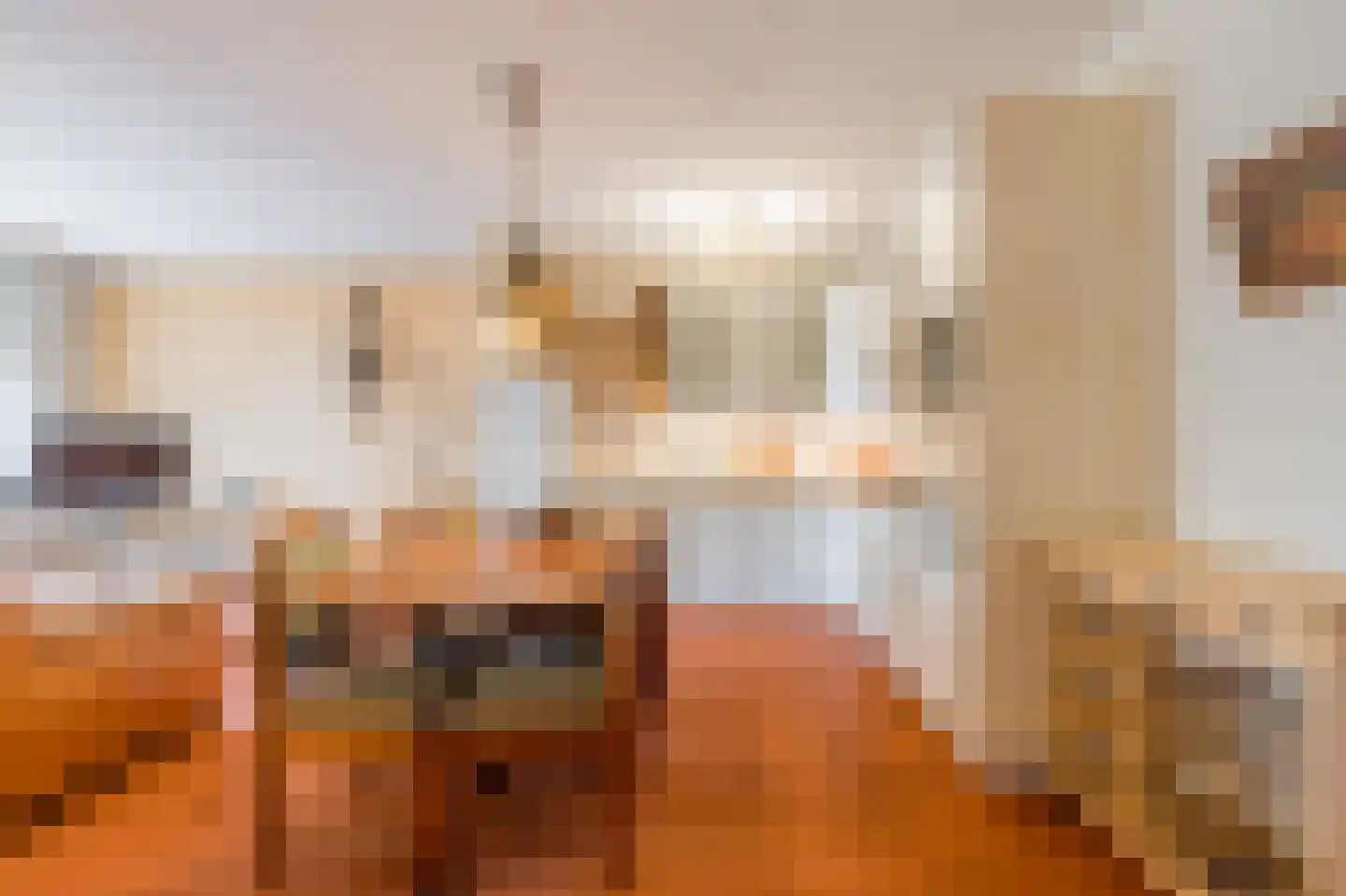 Vingerhoedskruid 28 Diemen thumbnail 21