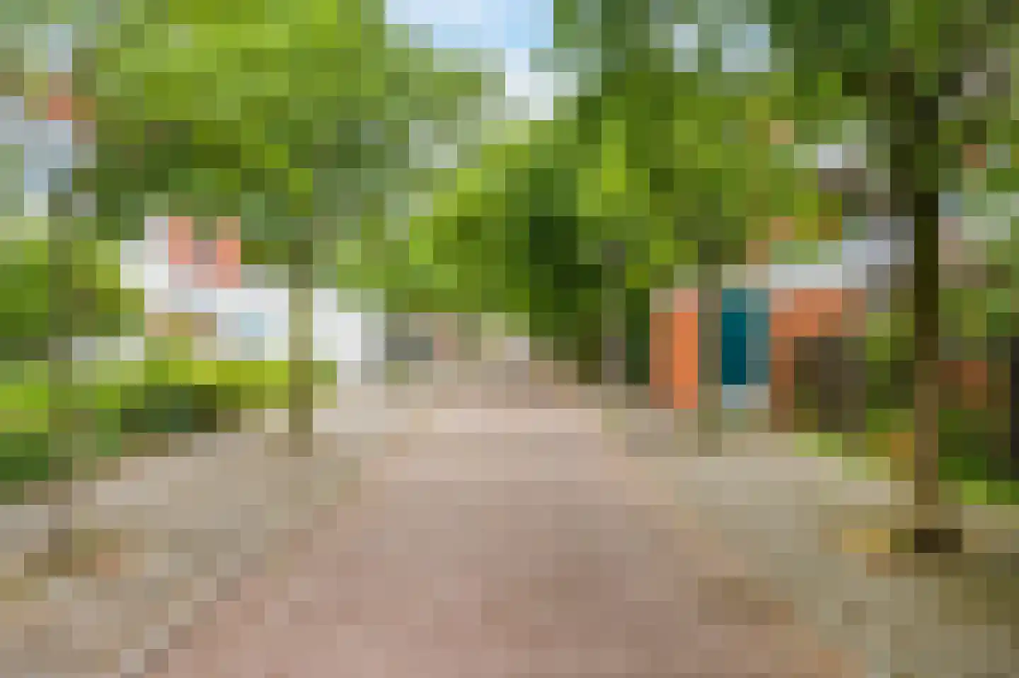 Vingerhoedskruid 28 Diemen thumbnail 24