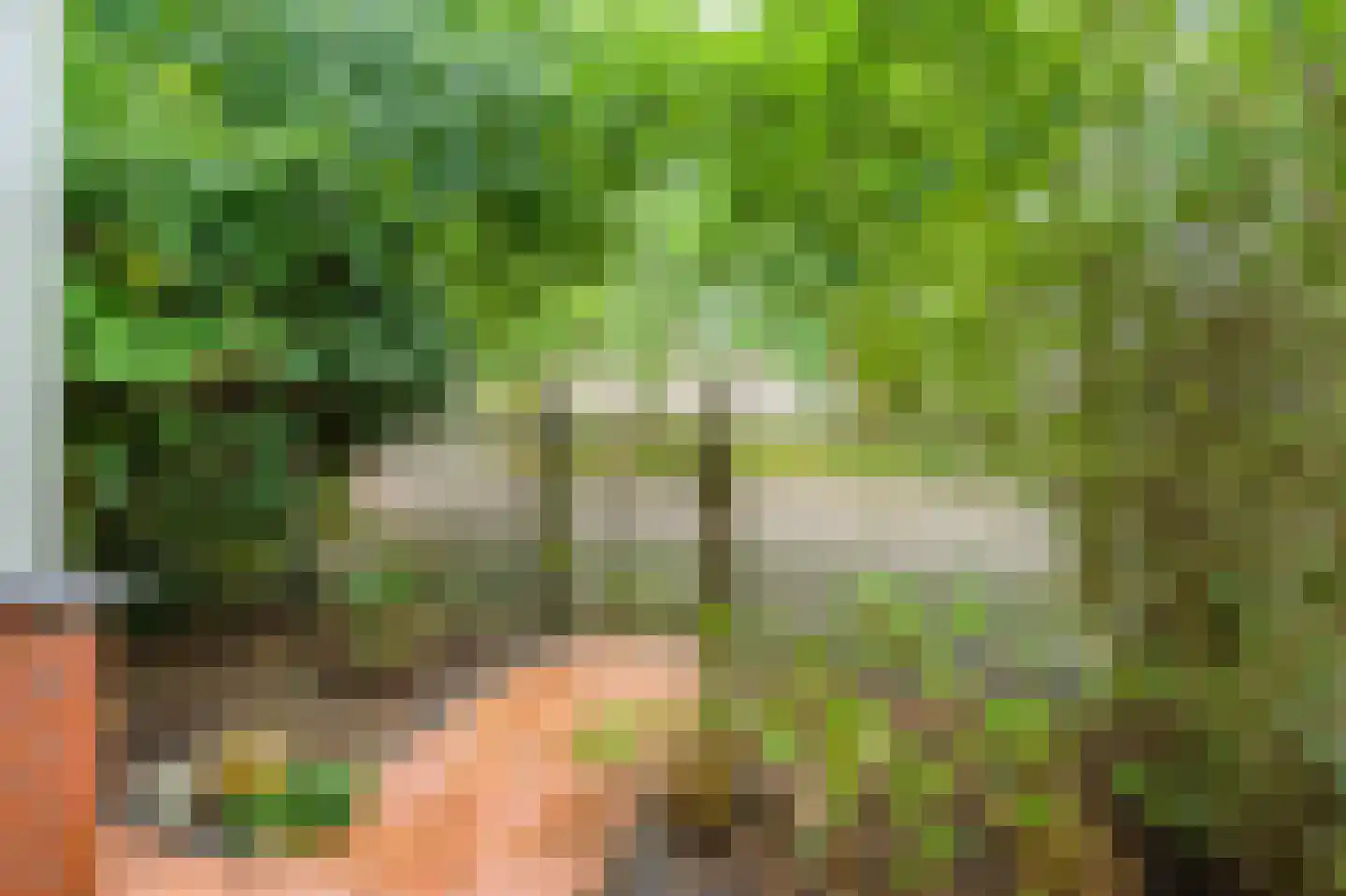 Vingerhoedskruid 28 Diemen thumbnail 27
