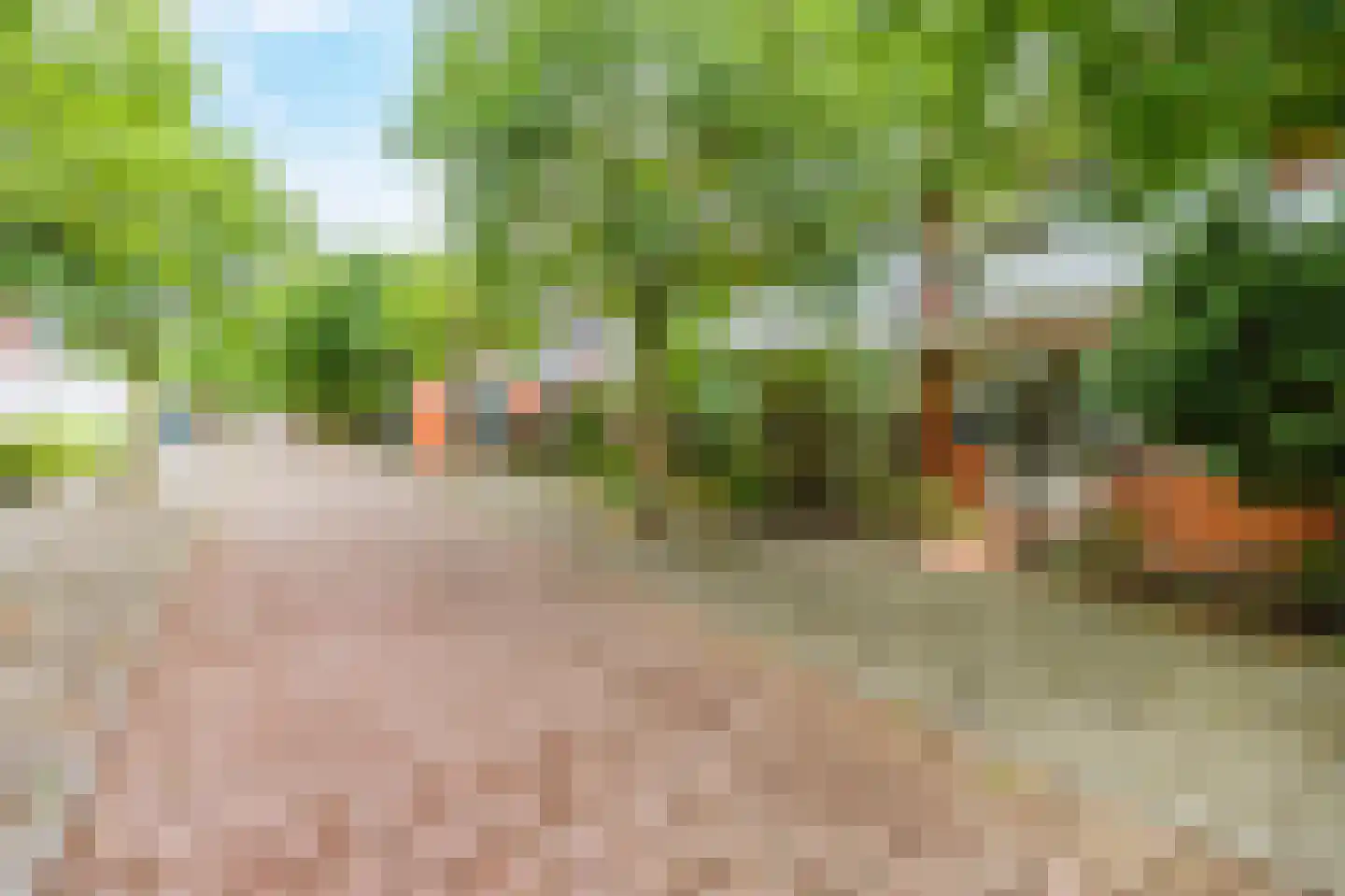 Vingerhoedskruid 28 Diemen thumbnail 30