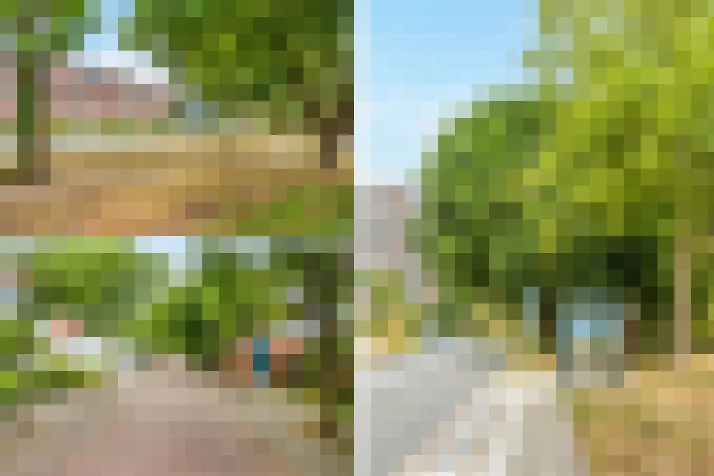 Vingerhoedskruid 28 Diemen thumbnail 33