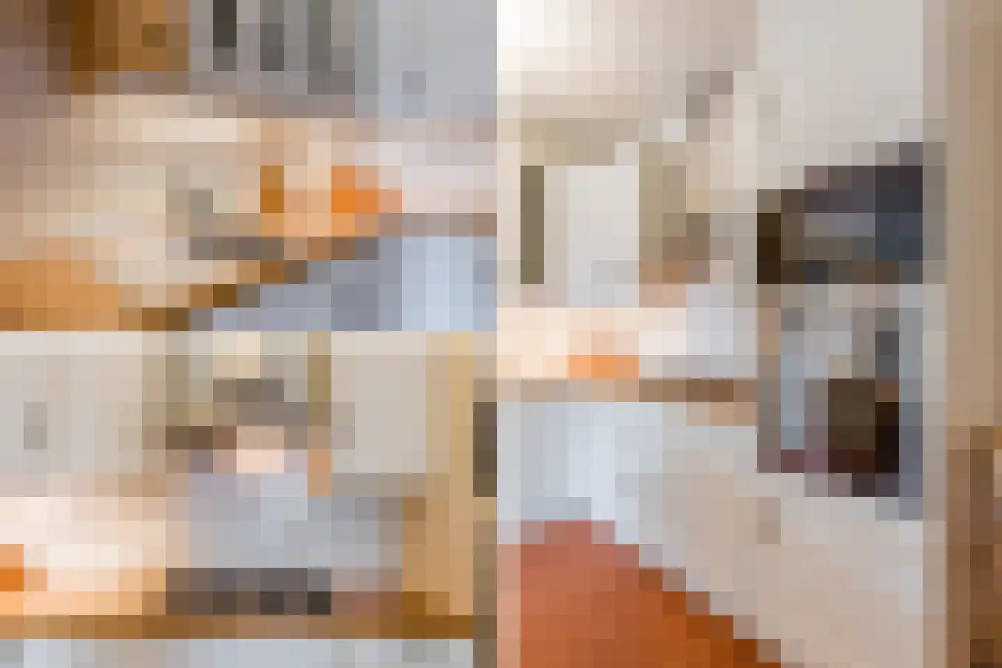 Vingerhoedskruid 28 Diemen thumbnail 34