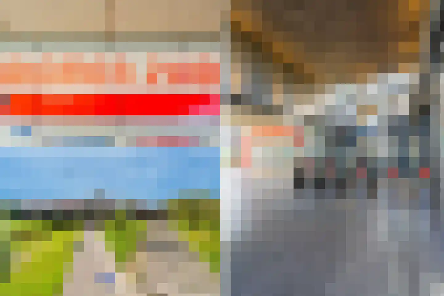 Vingerhoedskruid 28 Diemen thumbnail 38