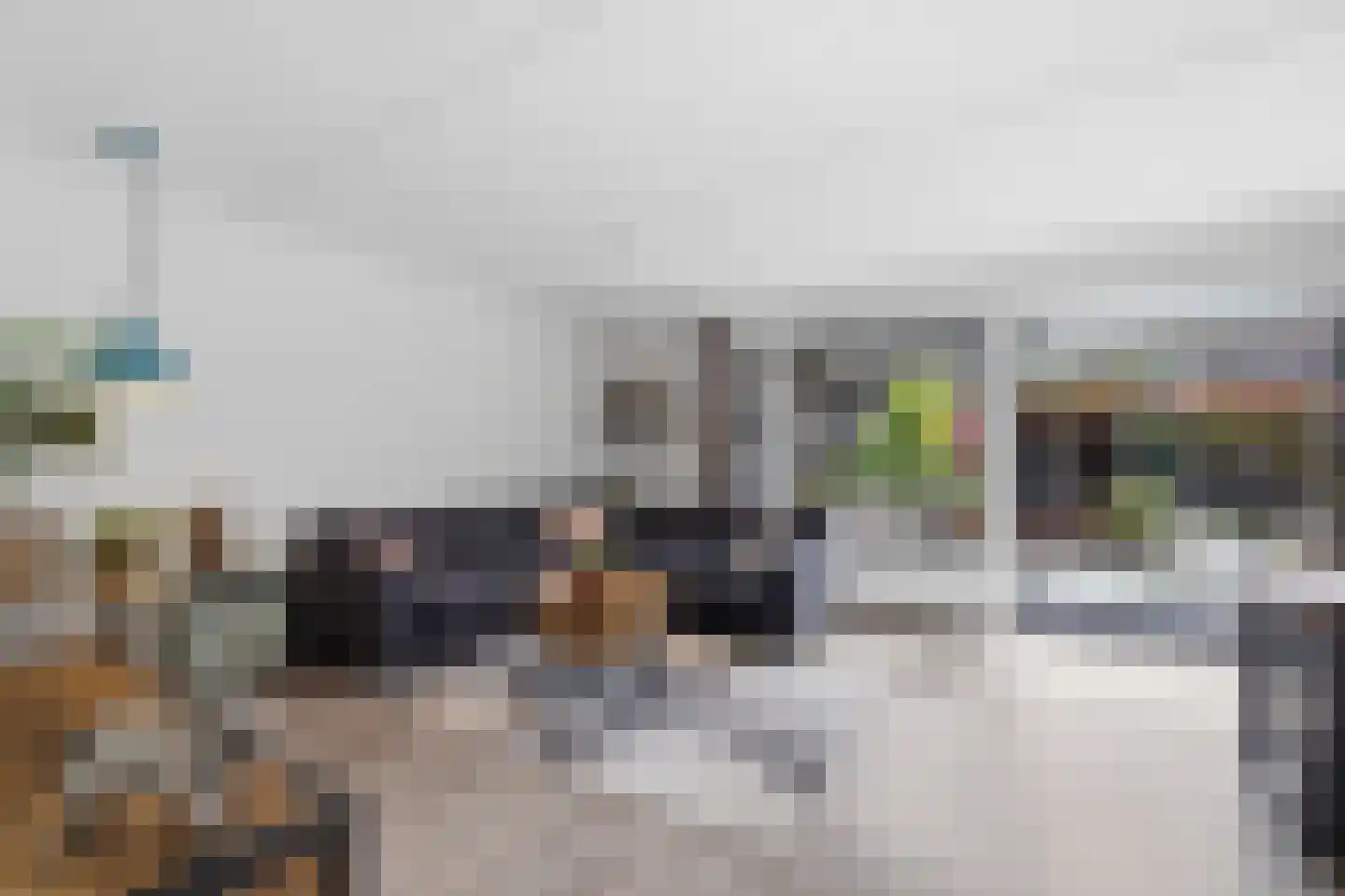 Vingerhoedskruid 36 Venray thumbnail 11