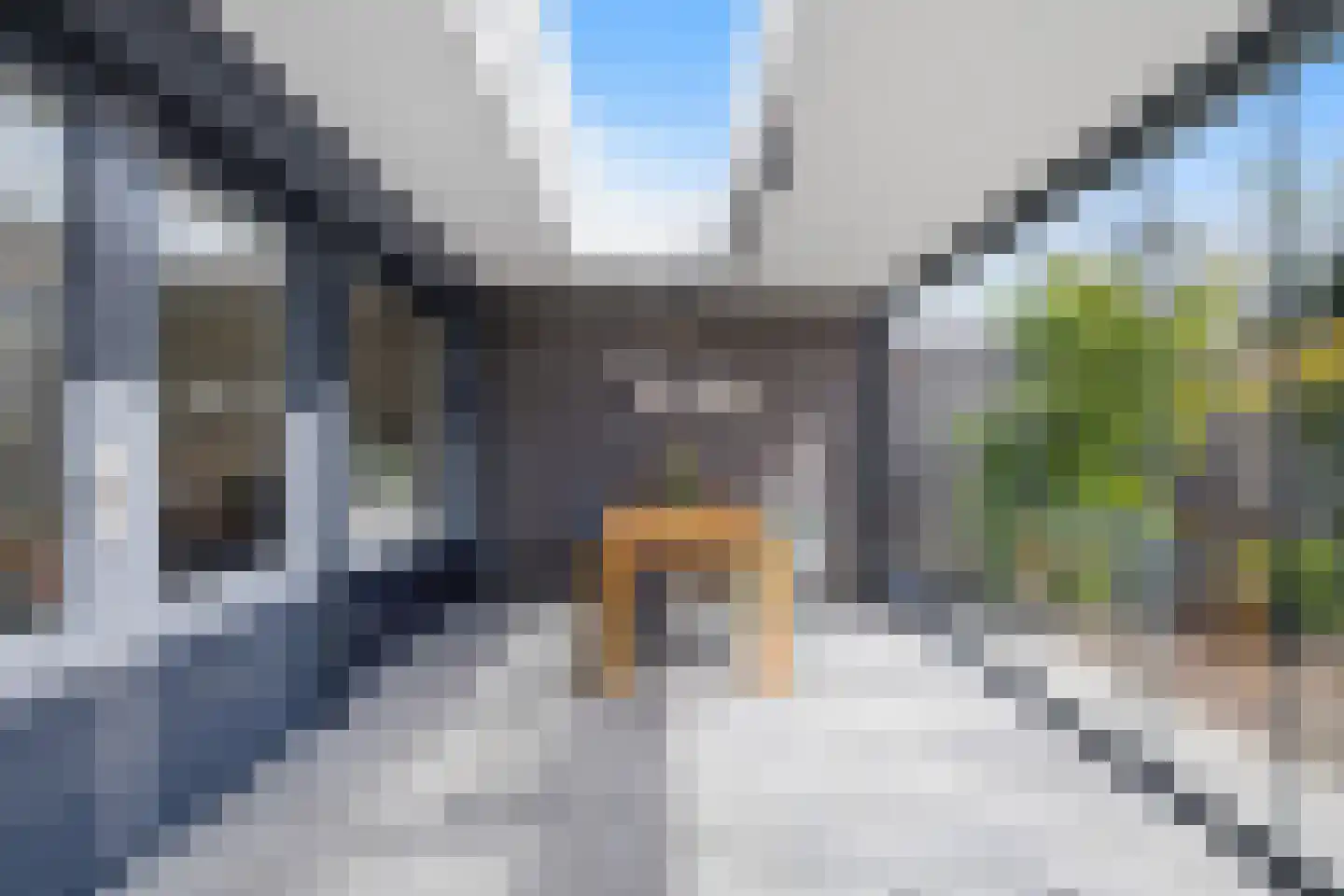 Vingerhoedskruid 36 Venray thumbnail 17