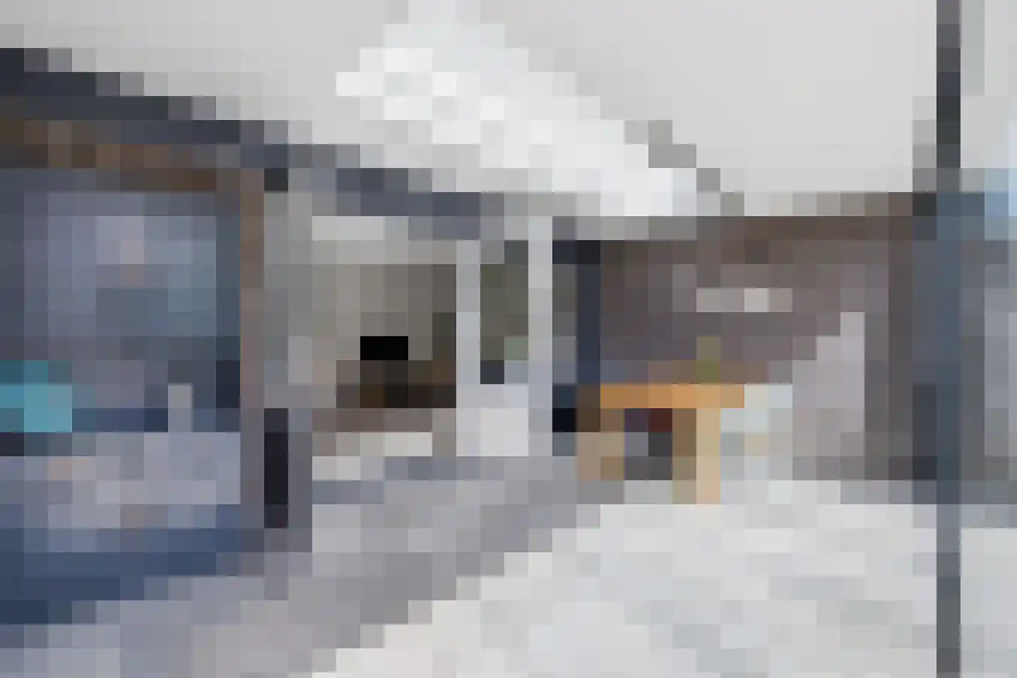 Vingerhoedskruid 36 Venray thumbnail 18