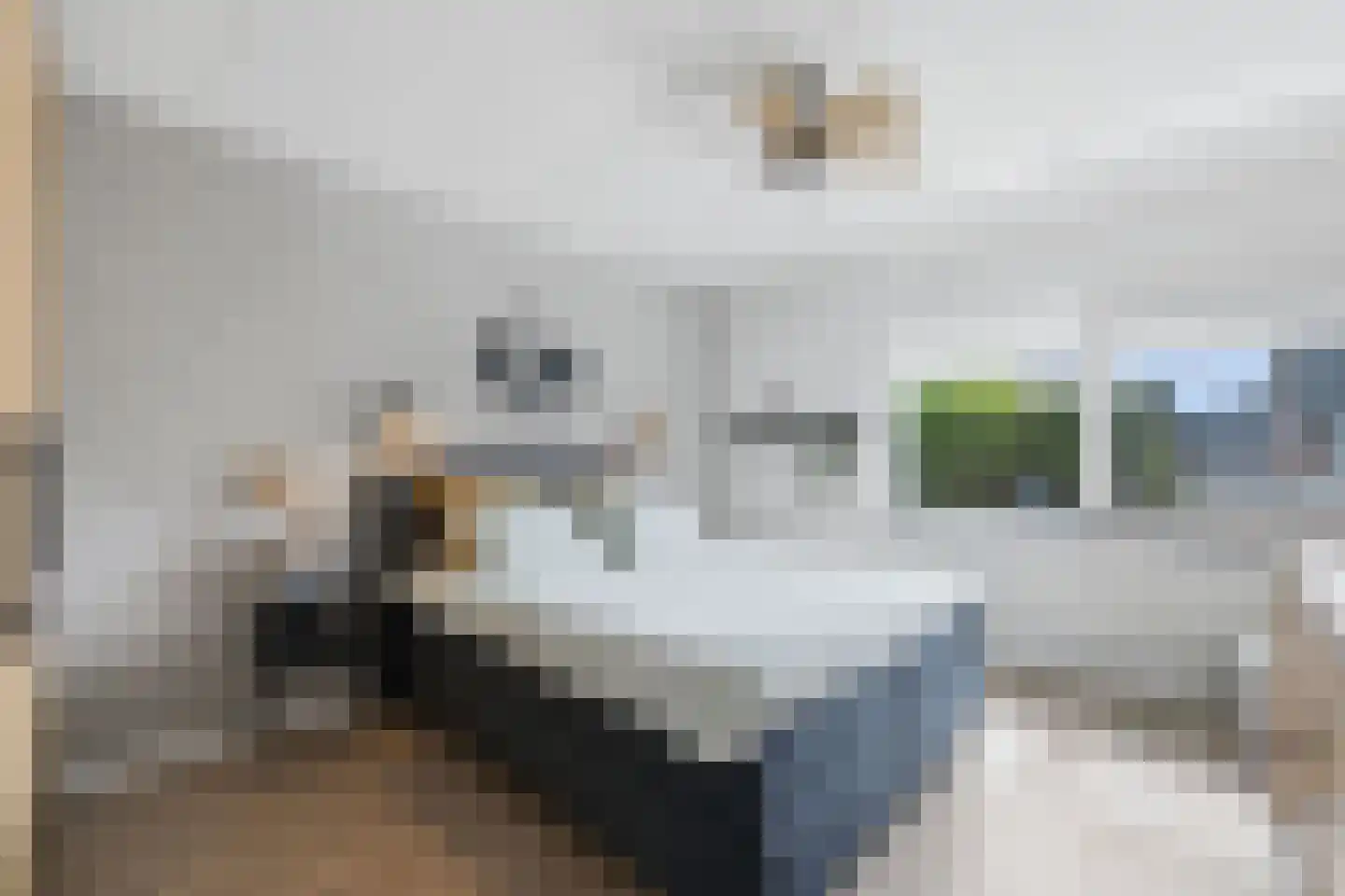Vingerhoedskruid 36 Venray thumbnail 22