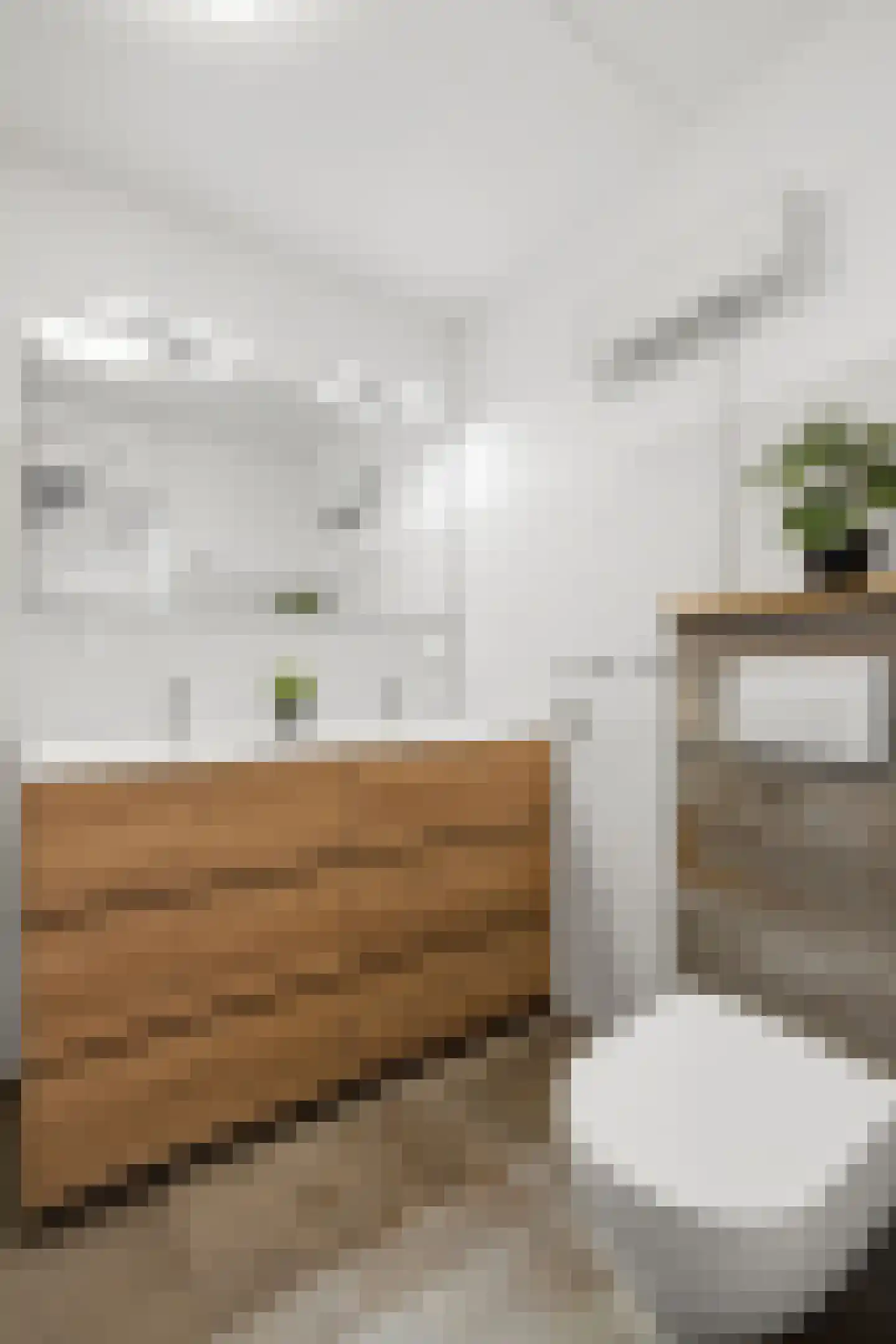Vingerhoedskruid 36 Venray thumbnail 26