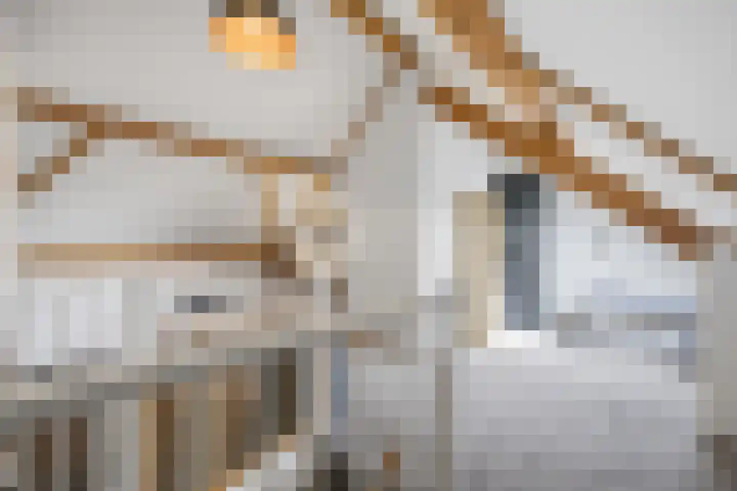 Vingerhoedskruid 36 Venray thumbnail 31