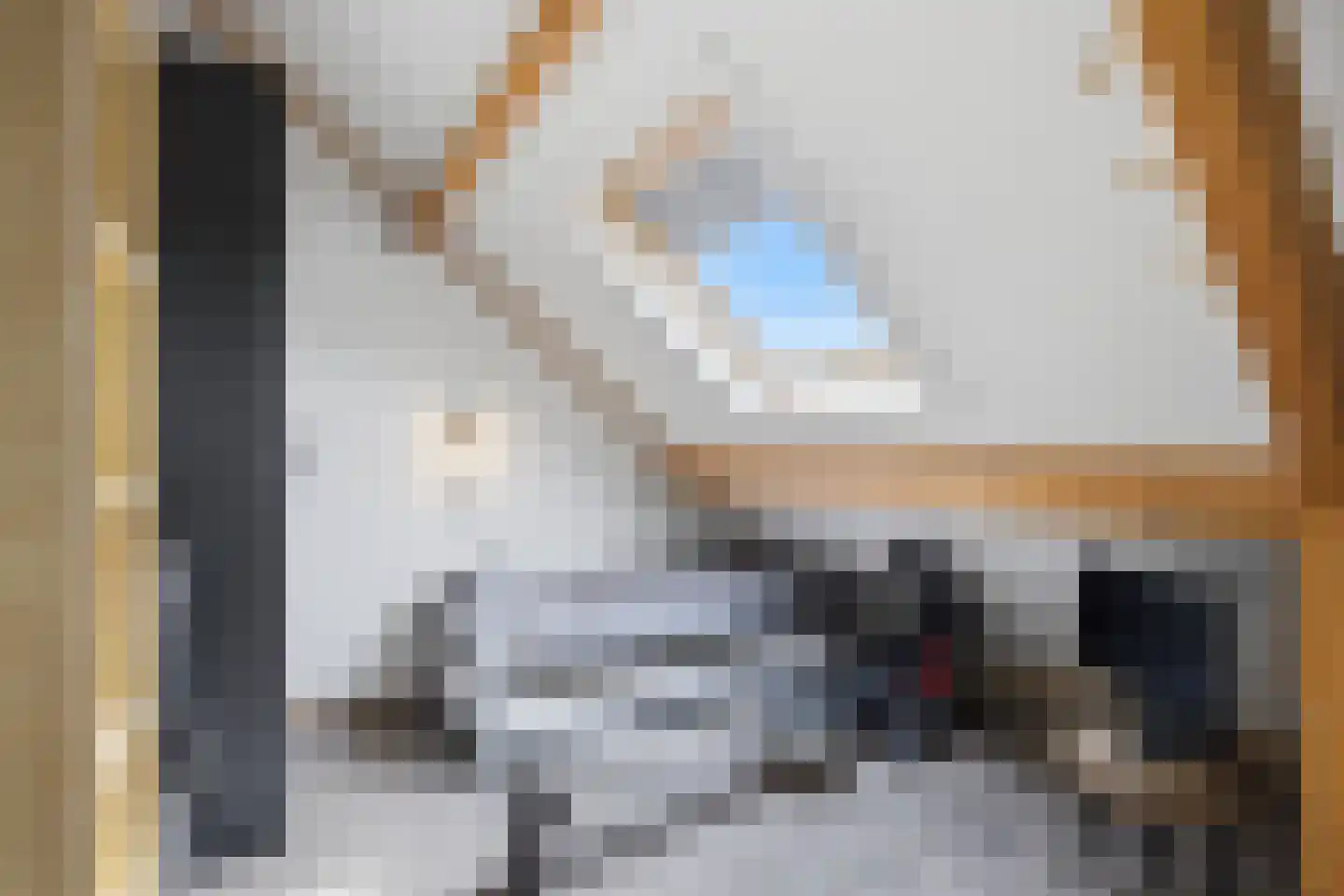 Vingerhoedskruid 36 Venray thumbnail 32