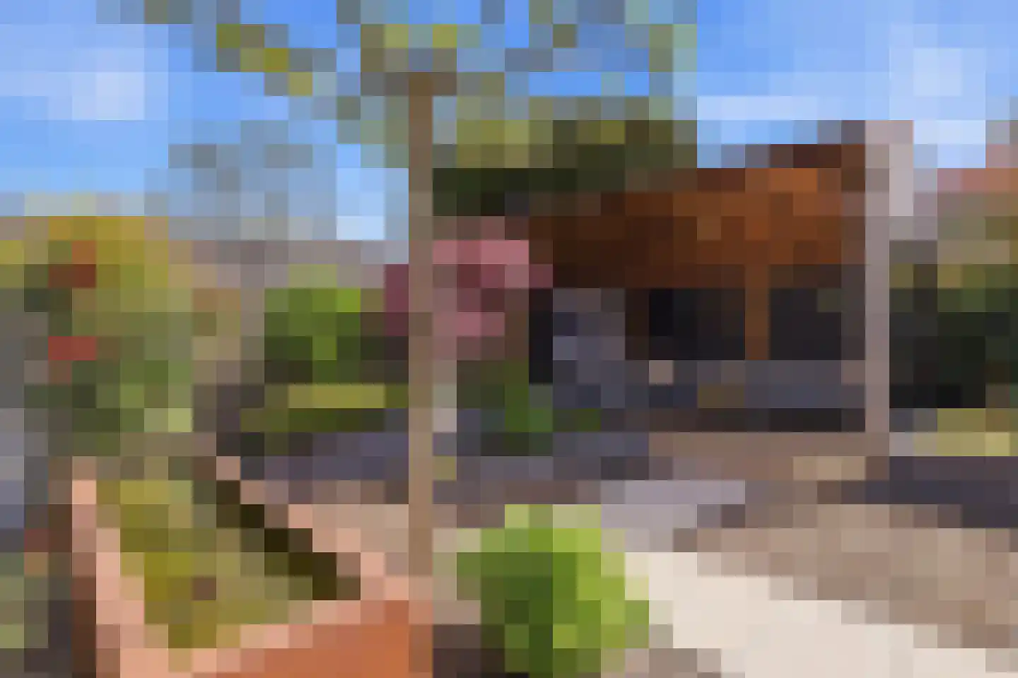 Vingerhoedskruid 36 Venray thumbnail 34