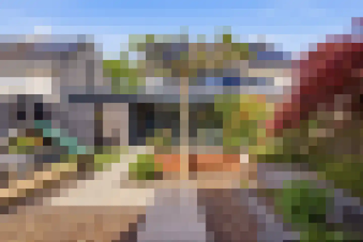 Vingerhoedskruid 36 Venray thumbnail 37