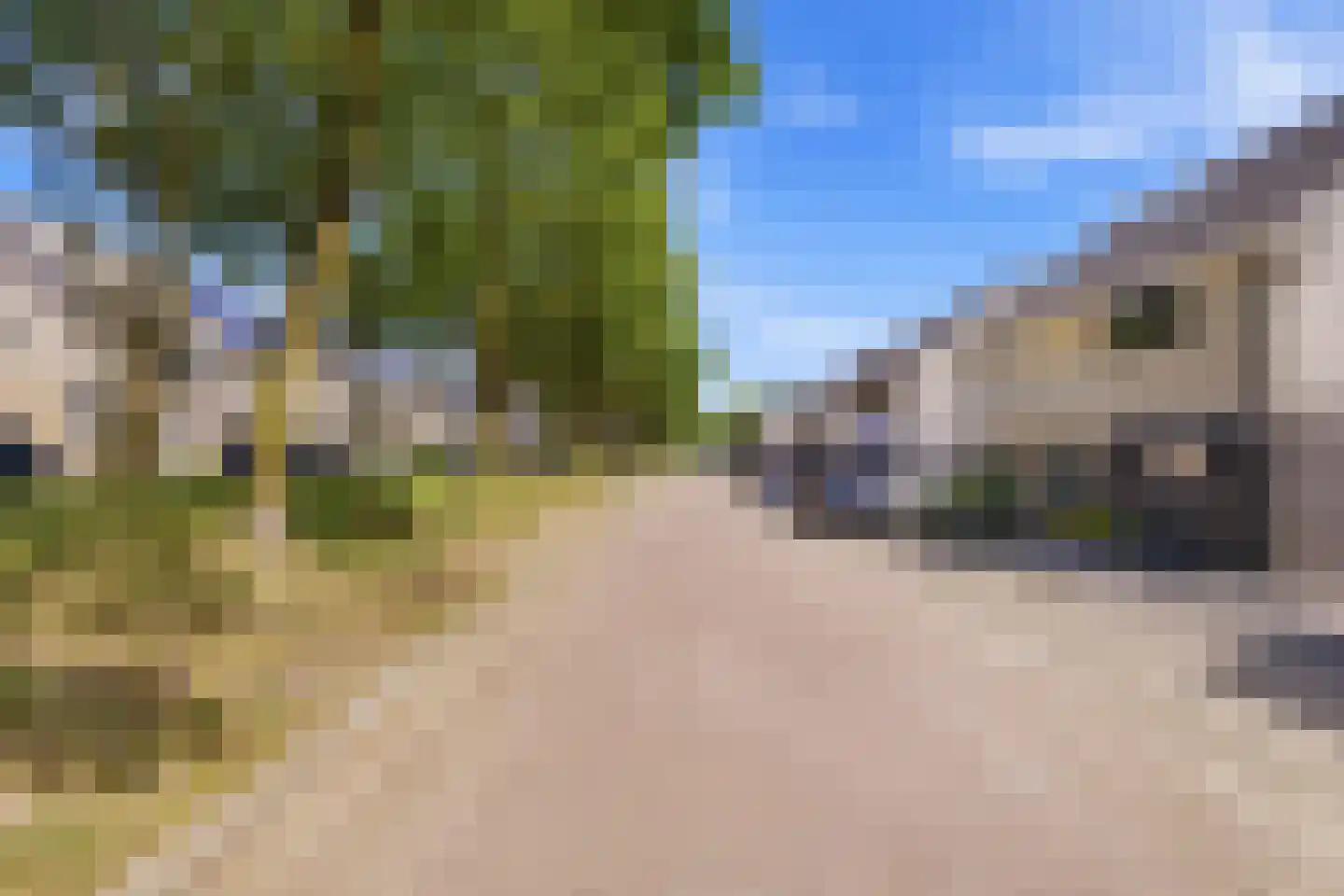 Vingerhoedskruid 36 Venray thumbnail 4