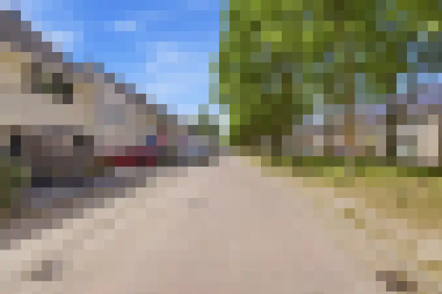 Vingerhoedskruid 36 Venray thumbnail 5