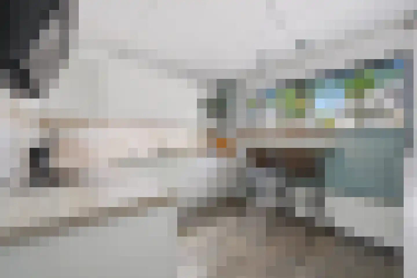 Vingerhoedskruid 36 Venray thumbnail 9