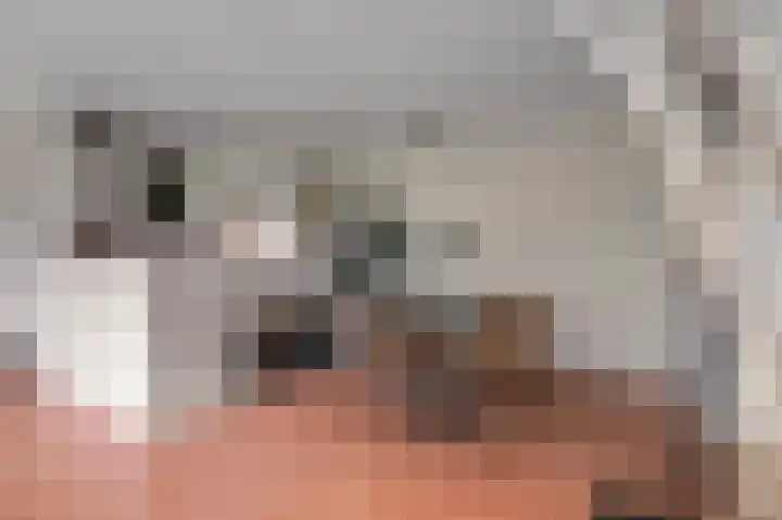 Vingerhoedskruid 38 Diemen thumbnail 11