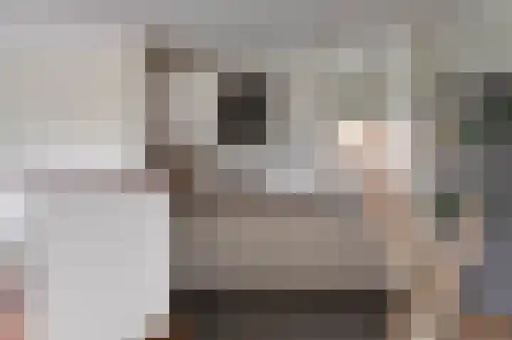 Vingerhoedskruid 38 Diemen thumbnail 12