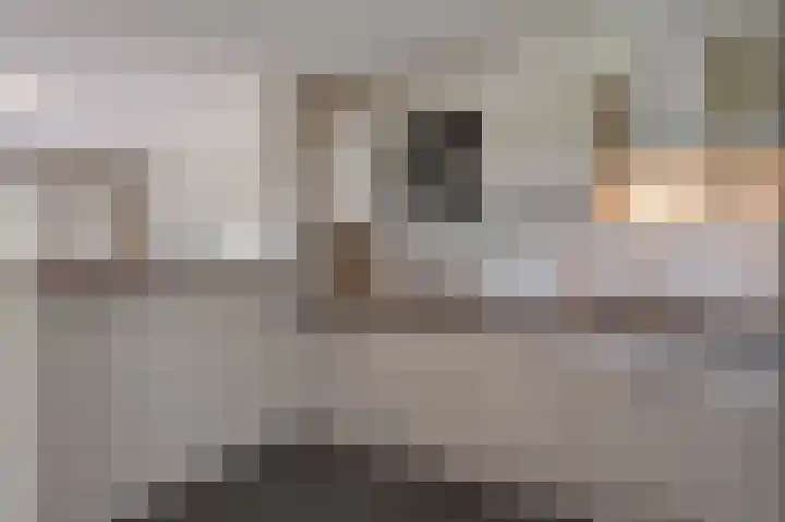 Vingerhoedskruid 38 Diemen thumbnail 13