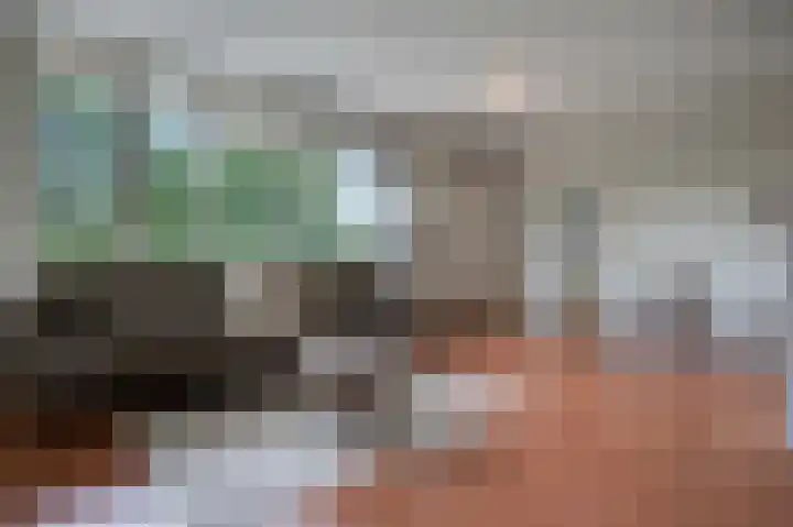 Vingerhoedskruid 38 Diemen thumbnail 15