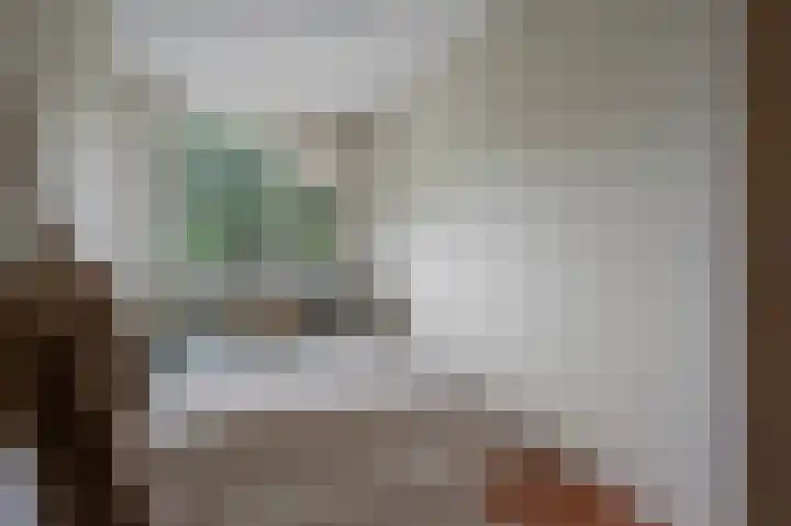 Vingerhoedskruid 38 Diemen thumbnail 20