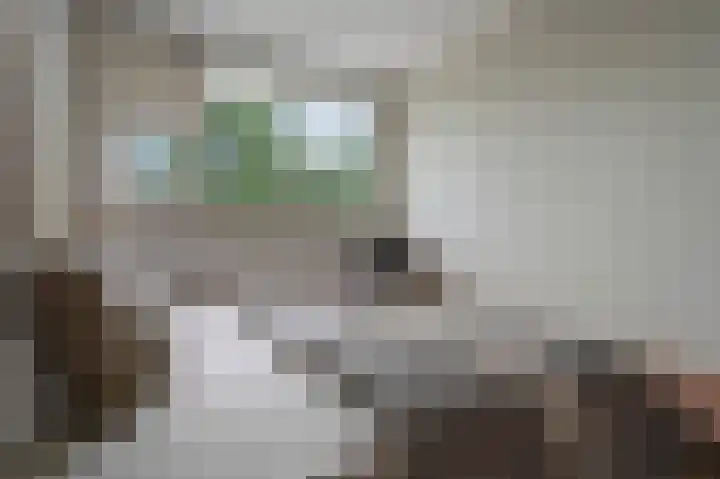 Vingerhoedskruid 38 Diemen thumbnail 22