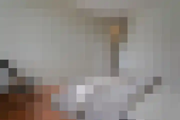 Vingerhoedskruid 38 Diemen thumbnail 23