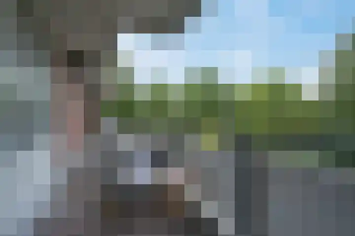 Vingerhoedskruid 38 Diemen thumbnail 27