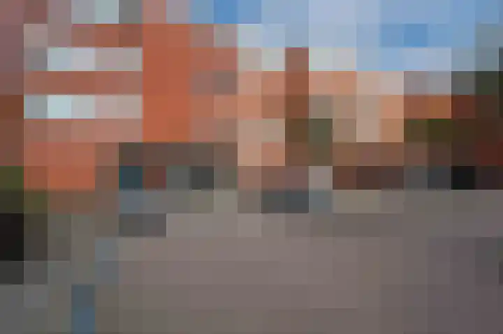 Vingerhoedskruid 38 Diemen thumbnail 28