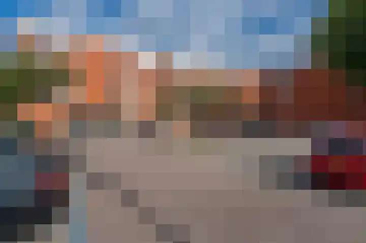 Vingerhoedskruid 38 Diemen thumbnail 29