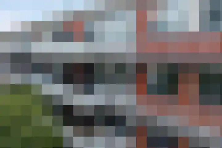 Vingerhoedskruid 38 Diemen thumbnail 31