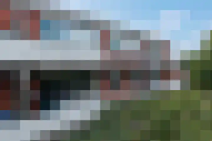 Vingerhoedskruid 38 Diemen thumbnail 32