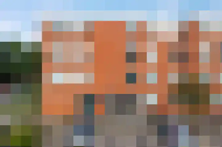 Vingerhoedskruid 38 Diemen thumbnail 34