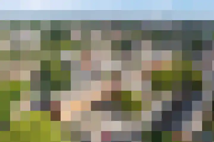 Vingerhoedskruid 38 Diemen thumbnail 35