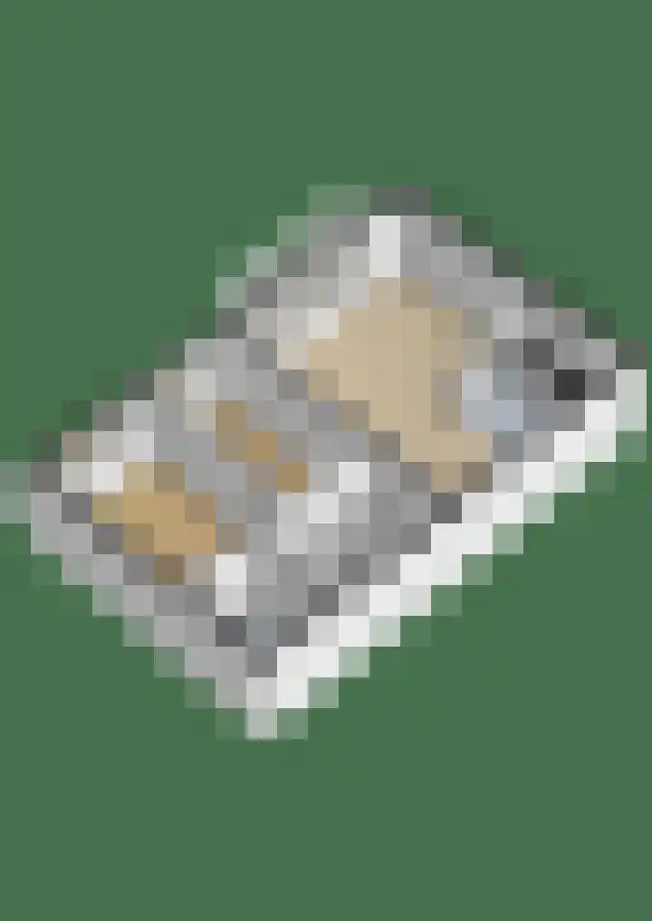 Vingerhoedskruid 38 Diemen thumbnail 39