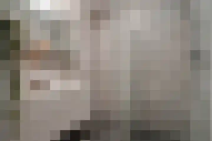 Vingerhoedskruid 38 Diemen thumbnail 4