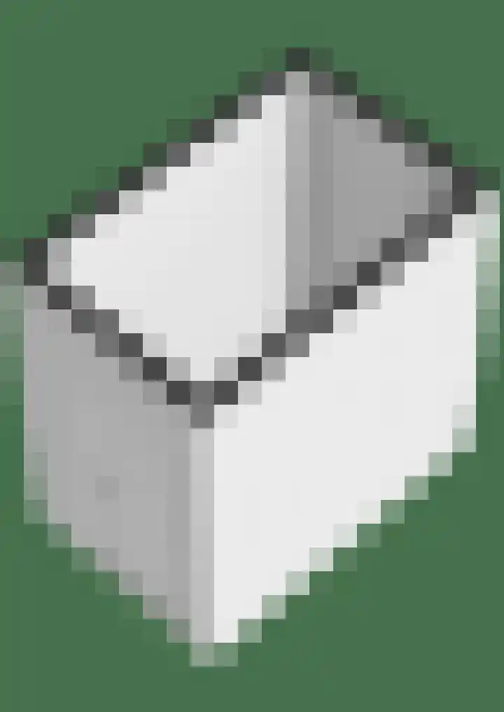 Vingerhoedskruid 38 Diemen thumbnail 43