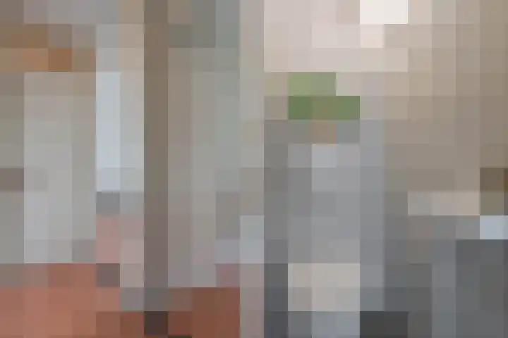 Vingerhoedskruid 38 Diemen thumbnail 6