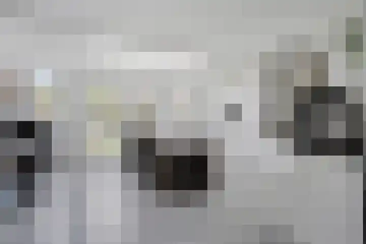 Vingerhoedskruid 43 Venray thumbnail 11